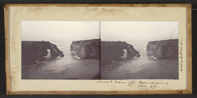 Coast View off Mendocino by Carleton E. Watkins